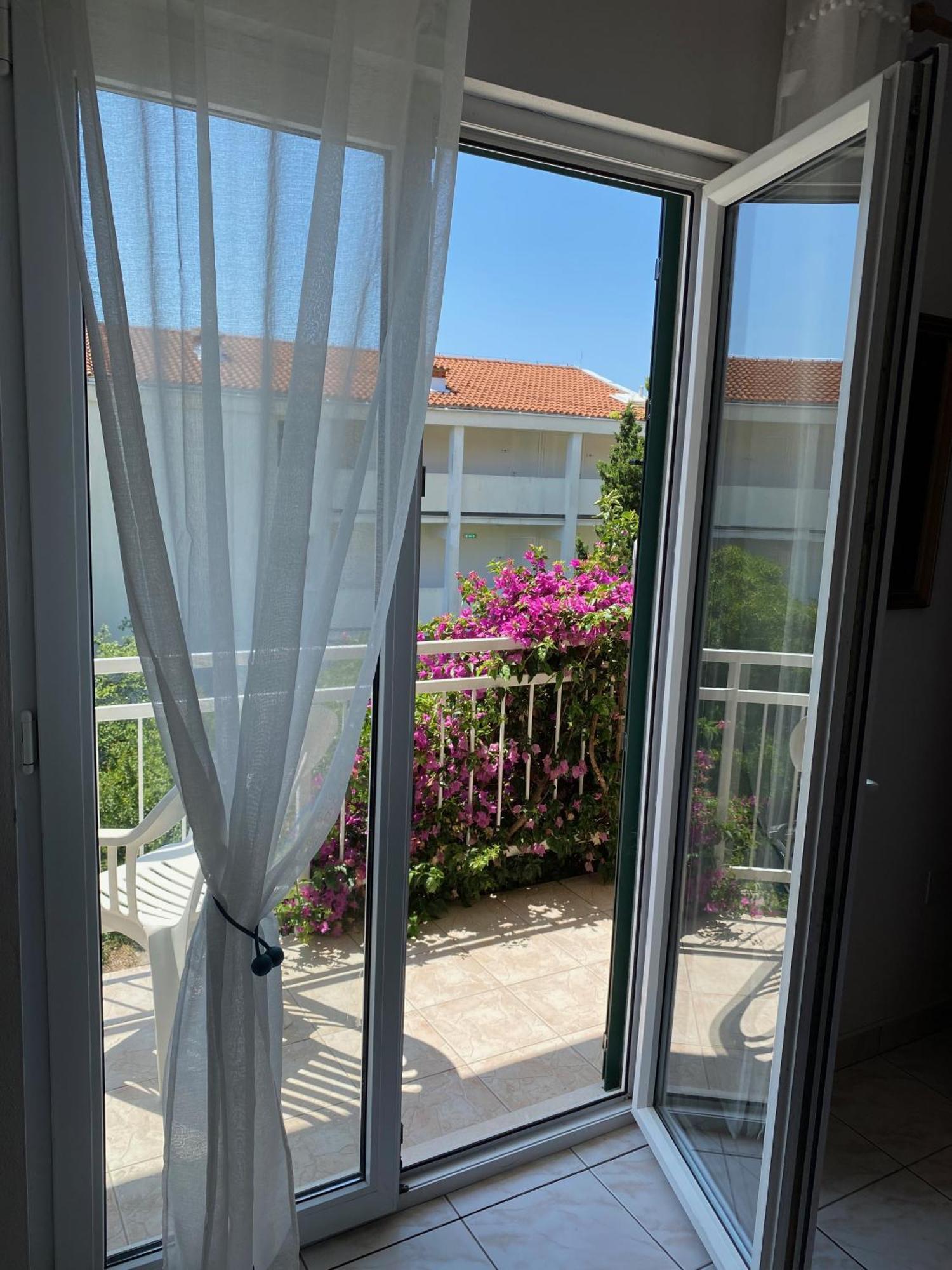 Apartmani Dusanka Orebic Ngoại thất bức ảnh