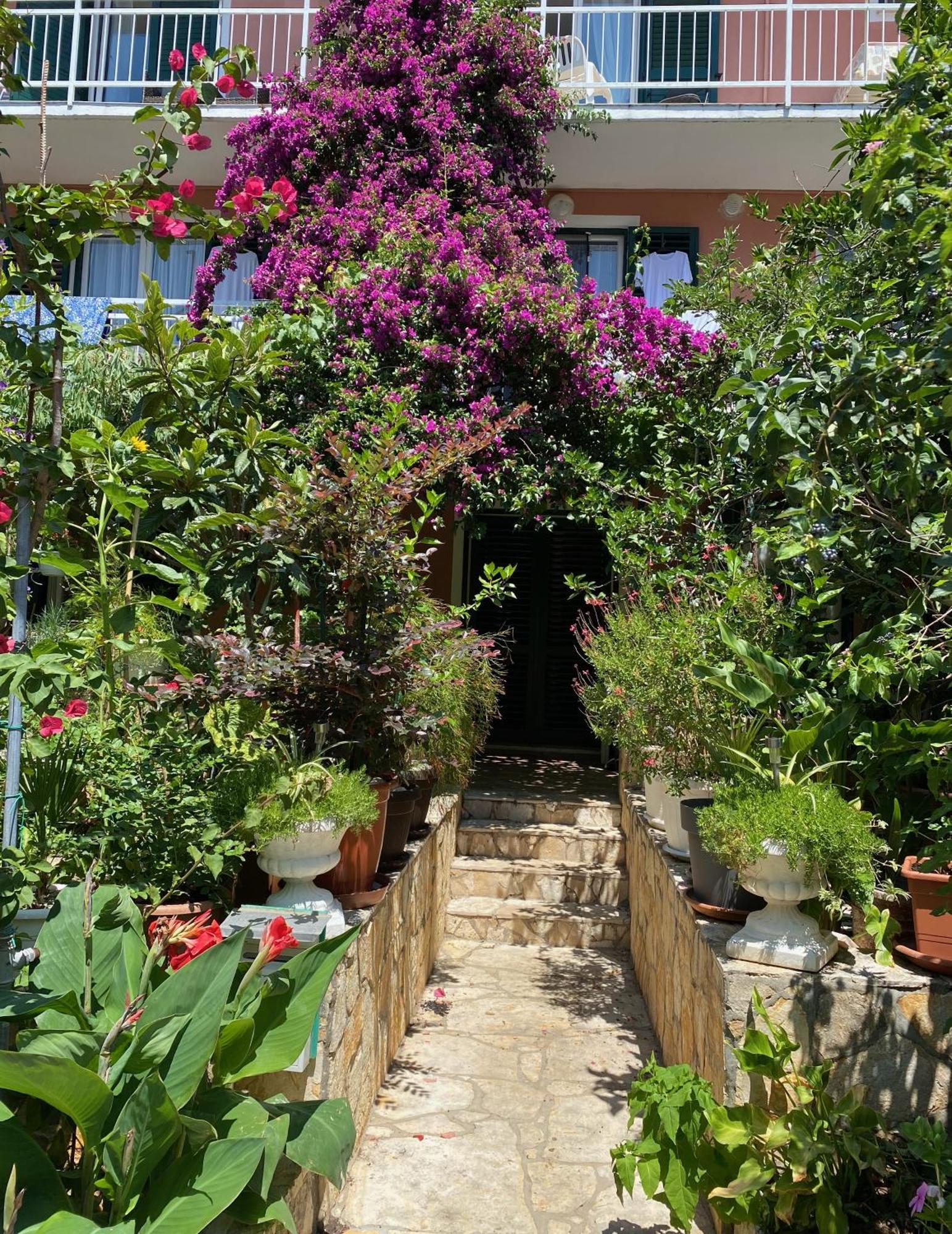 Apartmani Dusanka Orebic Ngoại thất bức ảnh